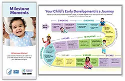 Developmental Milestones 6